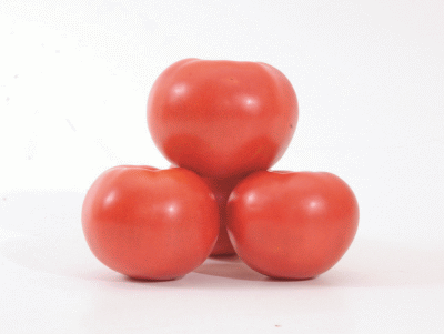 <b>Фенда F1</b> -  ранний индетерминантный розовый томат. Производство - Франция