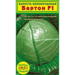 <b>Белокачанная капуста Бартон F1</b> - новый гибрид для квашения и хранения