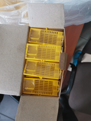 Пчеловодство: Клеточки пересылочные Евро, 70 шт (в коробке)