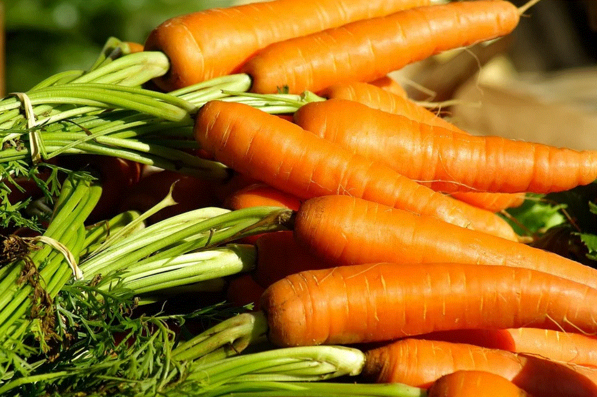 <b>Морковь Монанта ЭЛИТ </b> - голландские семена сладкой морковки, которая хорошо хранится