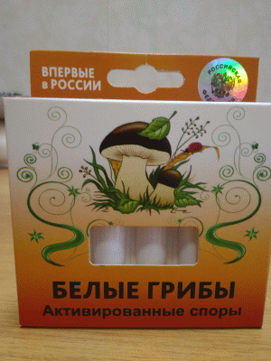 Впервые в России: Концентрат активированных спор Белых грибов. Урожай - до 150 кг! Ампулы 5*5 мл.