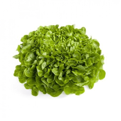Среднеспелый листовой сорт салата: салат Кук, 5 семян.