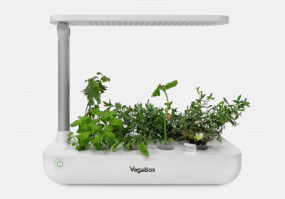 <b>Настольная садовая ферма VegeBox</b> - гидропонная установка у Вас на подоконнике
