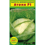 Для получения вкусной соленой капусты лучше использовать белокачанную капусту Атрия F1
