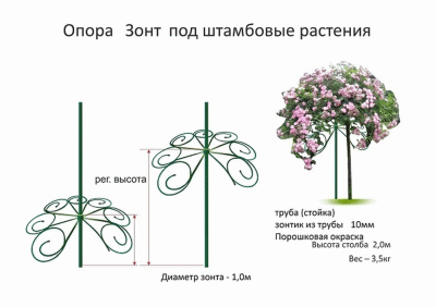 <b>Зонт (И) </b> - опора под клематисы и штамбовые растения. Растет вместе с Вашими растениями!