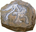 <b>Камень c овираптором</b> - декоративная крышка люка в виде камня со скелетом древнего динозавра овираптора