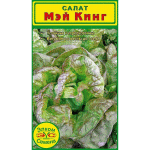 <b>Салат Мэй Кинг</b> - салат кочанного типа с антоциановой окраской листьев