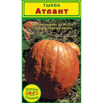 <b>Тыква Атлант</b> - как следует из названия, из этих семян можно вырастить тыкву массой до 50-70 кг!