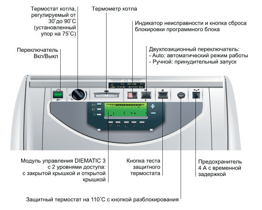 Беременность и элеутерококка Беременность и элеутерококка