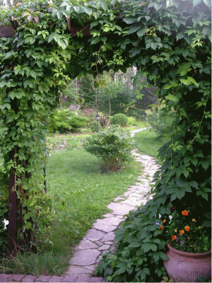 металлические садовые арки