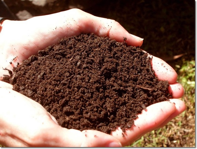 Измерители кислотности (ph тестер), влажности почвы - необходимые приборы для настоящего садовода