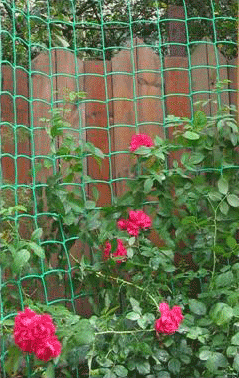 садовая пластиковая сетка