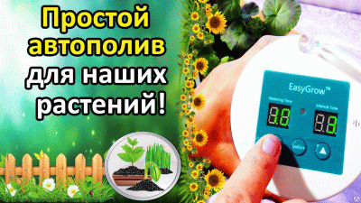 Автомат Синьор Помидор-15 с питанием от батареек и блоком питания. Для капельного полива комнатных растений. 