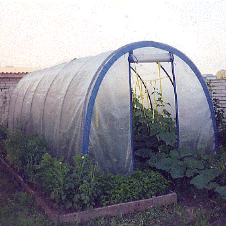 Садовая теплица Светлица-6 комплектуется прочным стальным каркасом и армированной светостабилизированной пленкой (благоприятствует росту растений)