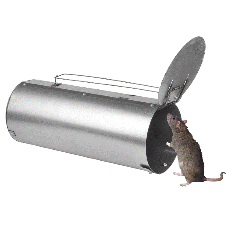 <b>Крысоловка круглая Крысам Труба</b> - для отлова грызунов - надежное и гуманное устройство. Для тех, кто не хочет смотреть на пойманную крысу!