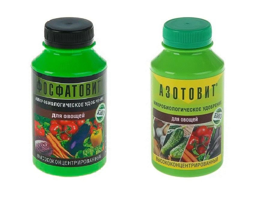 Комплект удобрений Азотовит + Фосфатовит Овощи, 220х2. Два микробиологических натуральных удобрения, обеспечивающих питание растения биодоступными фор