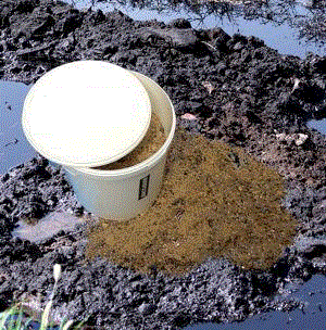 Биопрепарат для очистки почвы или водоема от нефтяных загрязнений Микрозим Петро Трит, ведро 13 кг 