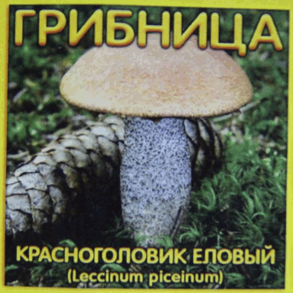Прекрасное решение - посадка мицелия Красноголовика елового на Вашем дачном участке! Субстрат для хвойных растений - грибница (Красноголовик еловый) является природным естественным био-удобрением
