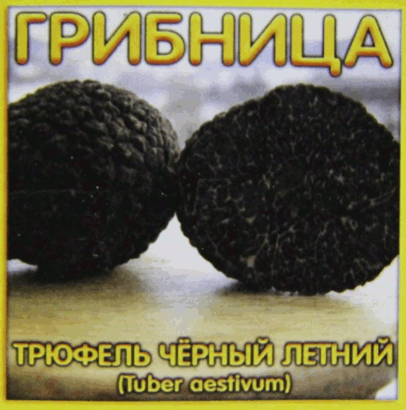 Трюфель черный летний на вашем садовом участке: даже олигархи будут Вам завидовать Посадите на даче грибницу трюфеля черного летнего - и собирайте полезные и вкусные грибы