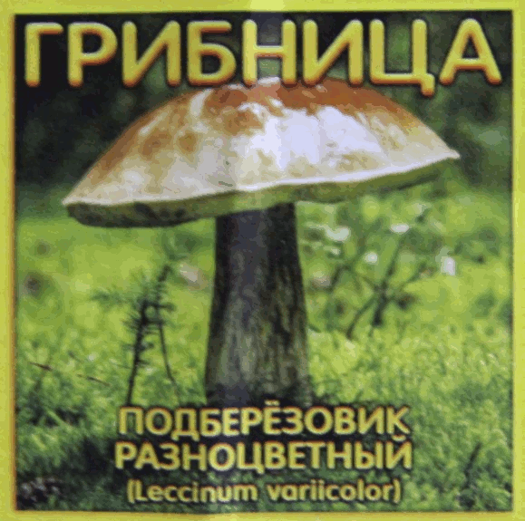Подберезовик разноцветный на Вашем дачном участке - это реальность при посадке мицелия. Несколько килограммов отличных подберезовиков разноцветных на следующий год после посадки Вам обеспечено
