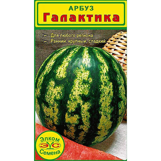 Арбуз Галактика: особенности сорта, характеристика плодов, агротехника выращивания и ухода, отзывы