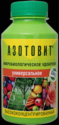 <b>Азотовит, концентрат</b> - универсальное удобрение микробиологическое, обеспечивает растение биологическим азотом, способствует развитию вегетативной системы (лист, стебель, соцветие).