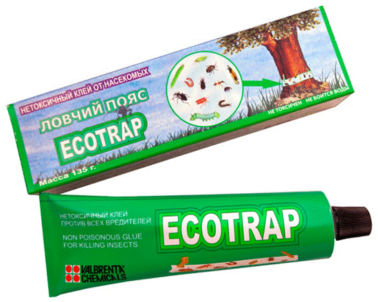 <b>Ловчий пояс Ecotrap</b> - наиболее эффективный способ защиты деревьев от насекомых! Нетоксичен!