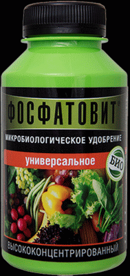 <b>Фосфатовит Универсальный, концентрат</b> - микробиологическое удобрение, обеспечивающее растение био-доступными формами фосфора и калия, что способствует развитию корневой системы.