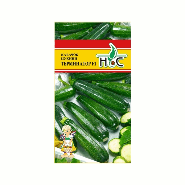 Кабачок цуккини, Терминатор F1 отличный вкус Кабачок цуккини, Терминатор F1 из него получаются отличные оладьи