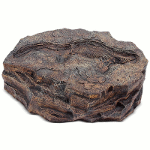 Крышка люка Камень с ихтиозавром замаскирует люк или бетонное кольцо на даче, придаст оригинальность ландшафту.