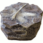 Крышка люка Камень со стрекозой замаскирует ваш люк и послужит прекрасным украшением в стиле археологии.