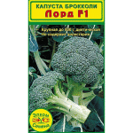 Лорд F1 - крупная брокколи-капуста, вес одного плода - до 800 г 