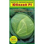 Новейший гибрид белокачанной капусты для длительного хранения - Юбилей F1