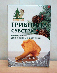 Субстрат для хвойных растений - грибница лисички настоящей является природным естественным био-удобрением Посадочный материал для выращивания грибов лисички настоящей, плюс натуральный органический питательный грунт для хвойников - этосубстрат микоризный.