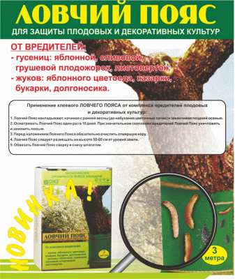 <b>Ловчий пояс от насекомых БашИнком 3м</b> - лучшее средство для защиты садовых деревьев от насекомых: гусениц, муравьев бабочек, жуков