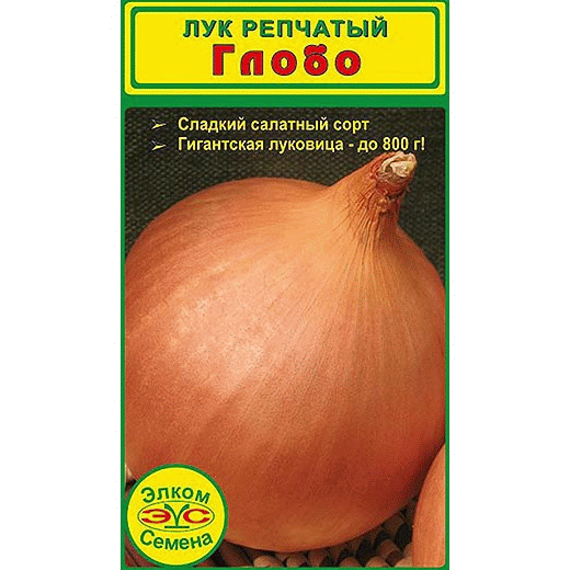 Глобо - семена самого крупного репчатого лука в Москве – цены,характеристики, отзывы