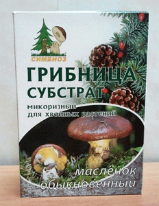 Грибница масленка обыкновенного - достаточно одного внесения для эффективного результата на всю жизнь растения Субстрат для хвойных растений - грибница (масленок обыкновенный) является природным естественным био-удобрением