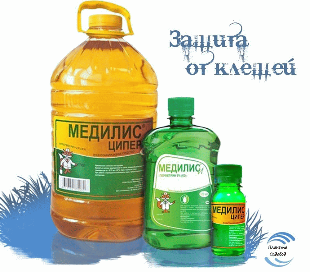 Медилис Ципер Цена