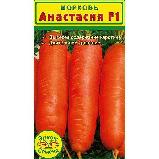 Морковь Анастасия F1 с высоким содержание каротина