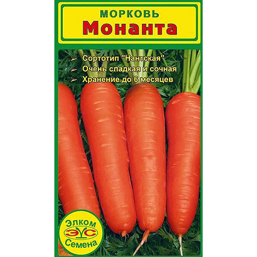 Морковь Монанта - самая сладкая и сочная