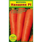 Из семян моркови Нандрин F1 - вырастает самая крупная и сладкая морковь