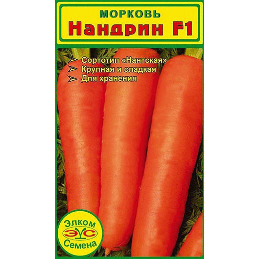 Морковь Нандрин - отлично хранится