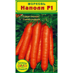 Морковь Наполи F1 радует всех купивших этот сорт, ведь у него 100% всхожесть