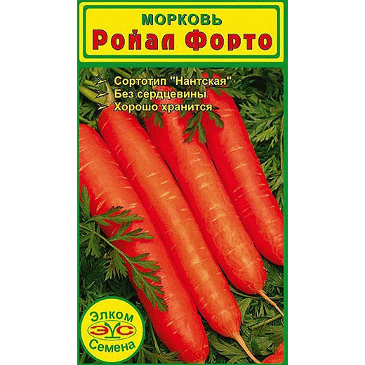Морковь Ройал Форто - отлично хранится