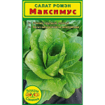 Самый крупный листовой салат "Ромен" - Максимус