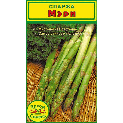 Спаржа Мэри - одна из самых вкусных и дорогих овощных культур Спаржа Мэри - полезное растение из семейства аспарагусов