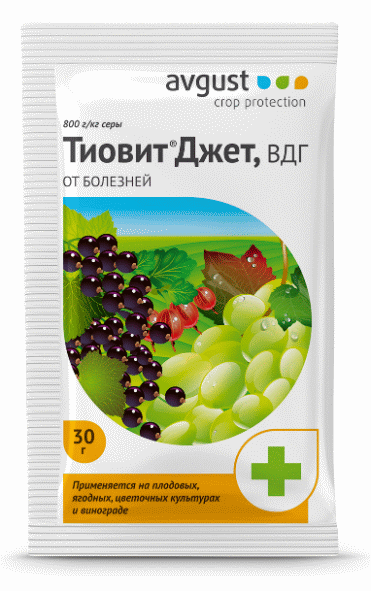 Инсектицид Тиовит Джет - средство для защиты различных культур от болезней и клещей, 30 гр Тиовит Джет 30 гр - не оказывает отрицательного влияния на растения