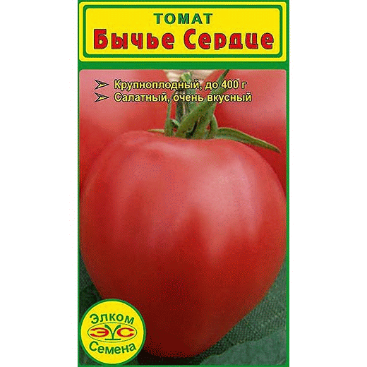 томат на семена