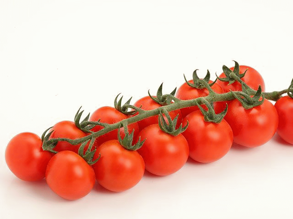 семена томатов индетерминантных