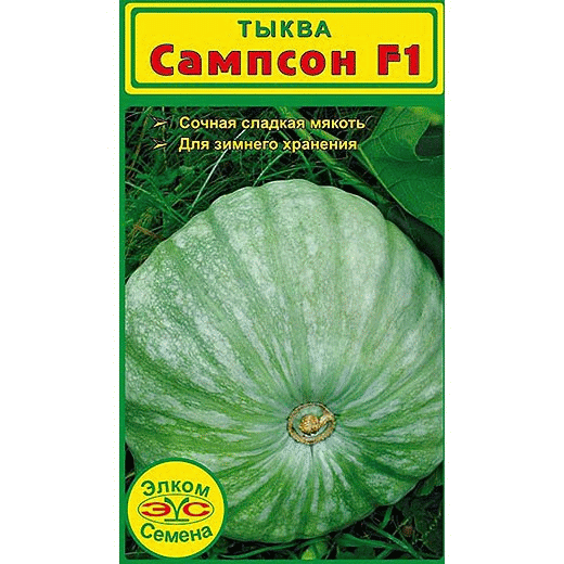 Семена тыквы Сампсон F1 - тыква для зимнего хранения